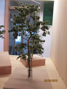 22-02 098.jpg