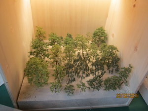 22-02 102.jpg