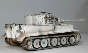 tigrung (3).JPG