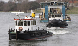 buffel 5 (10).jpg