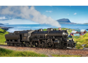 TRIX 25491 DSB Litra E 991(2).jpg