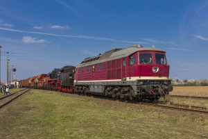 DB 130 101-9(2019).jpg (209.03 Кіб) Переглянуто 4980 разів 130 101-9 вже як музейний ходовий експонат. Прототип, майже повністю відповідний до серії 132.