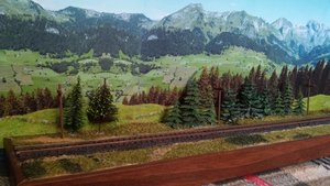 20160411_144720.jpg