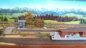 20160411_145049.jpg