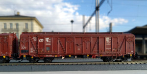 DSC_0968.JPG