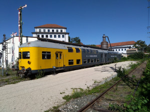 SDSC_2123.JPG
