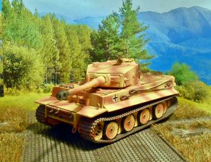 tiger 1.jpg