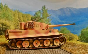 tiger 2.jpg