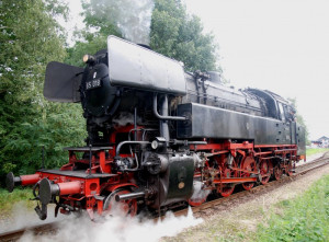 br-65-018-fahrt-vorbei-dampffest-221857.jpg