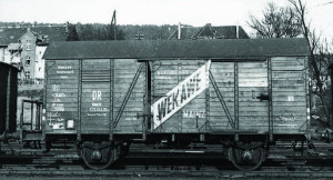 g3.jpg
