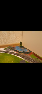 Screenshot_20241223_220623_Gallery.jpg