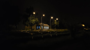 IMG_20250316_135450_290.jpg