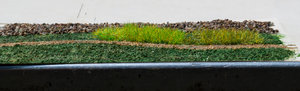 DSC_7071.jpg