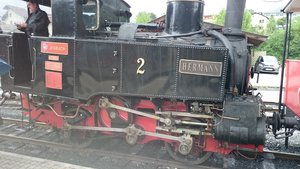 DSC_0663.JPG