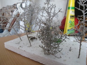 IMG_2962.JPG