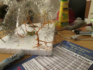 IMG_2959.JPG
