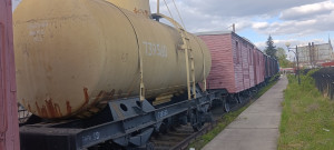 IMG_20260429_175536.jpg
